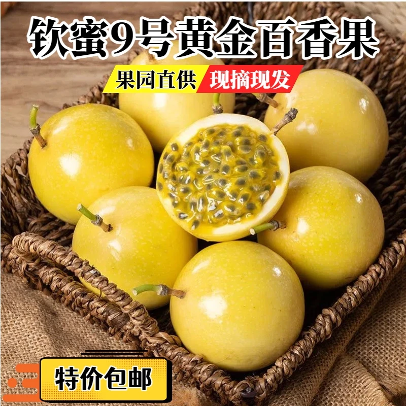 【正宗钦蜜9号】新鲜现摘钦蜜9号百香果当季水果香甜多汁果味浓郁