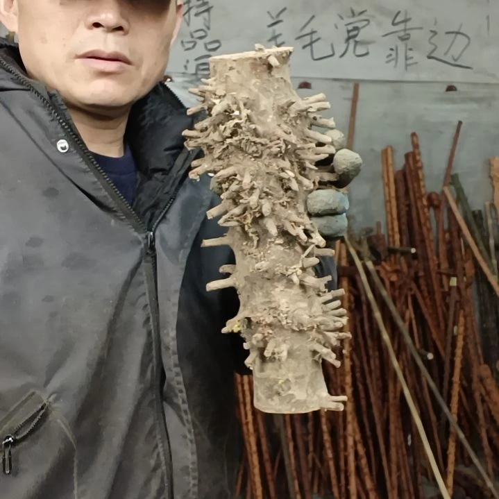稳定木3*9贵州檬子木   铁马鞭   根艺  半成品