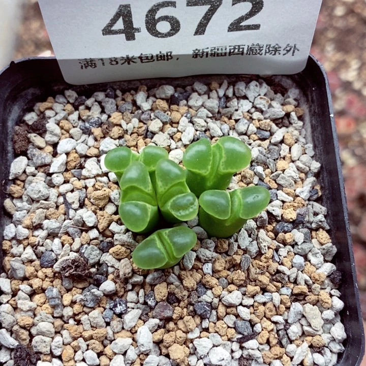 4672。