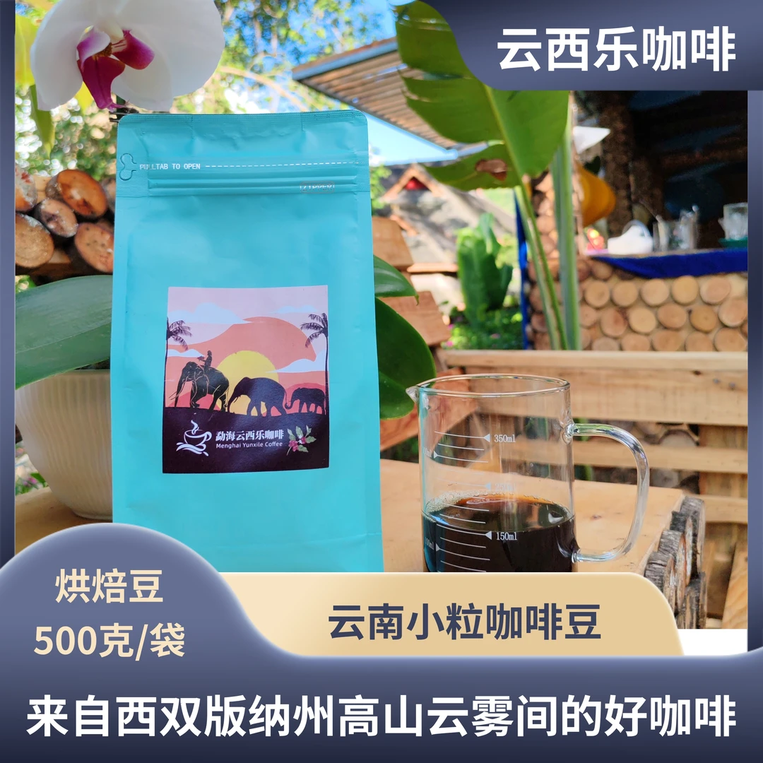 【云西乐咖啡】云南西双版纳高海拔精品小粒咖啡豆 500克/袋