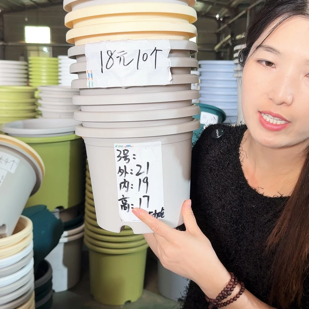 微瑕3#无拖灰白色10个