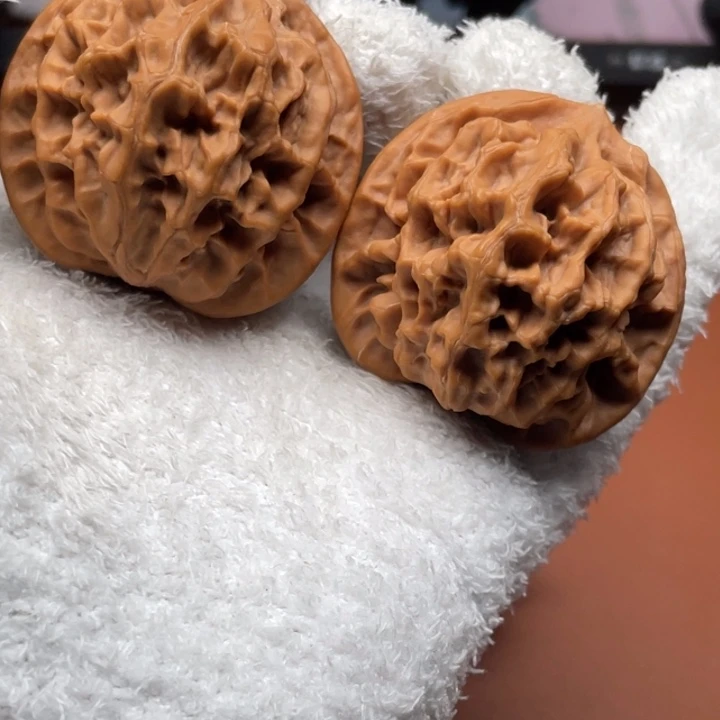 弹***力秦核等人的故事也在这里展开