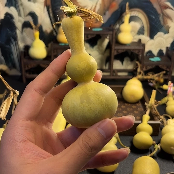 风***岸大叶紫檀（黑酸枝木类）