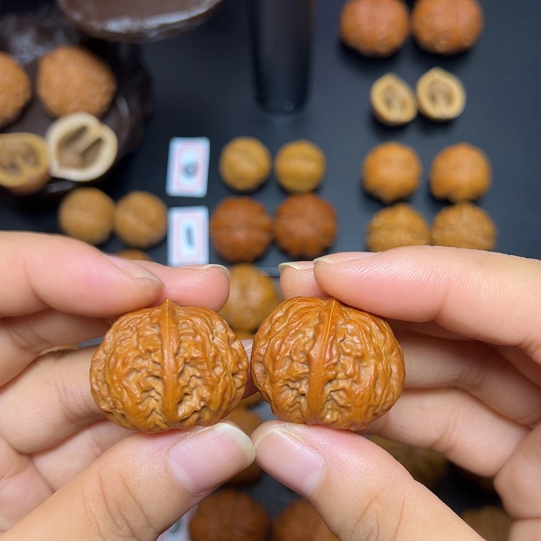 把件文玩核桃粗筋霸王花31尺