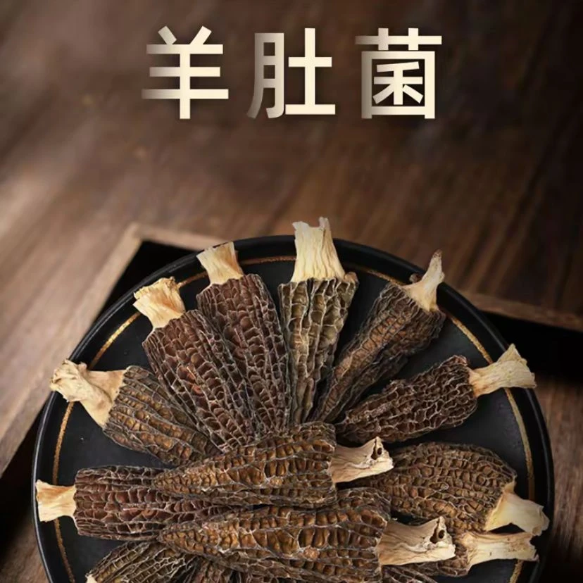 云南高山羊肚菌干货精品均匀香味足滋补炖汤食材