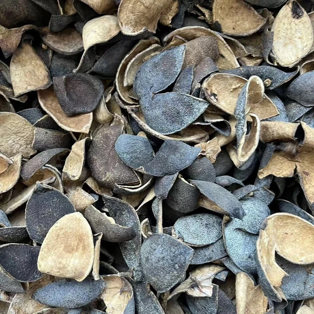 【阿权 茶仓】东23陈化 满霜灯青 青皮断皮 拍一发六到手1500g袋装