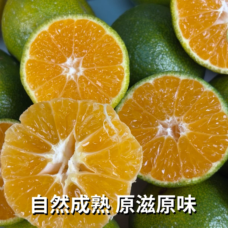 南丰蜜桔南丰蜜广早熟小橘子酸现采现发原产地直发