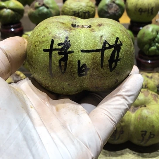 桃核吊坠核桃核桃