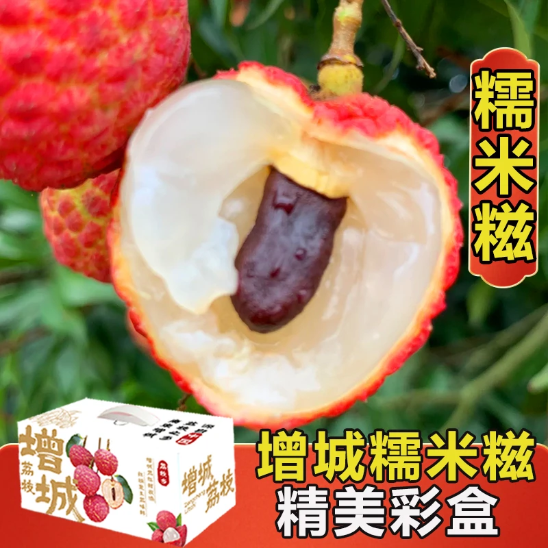 【增城糯米糍荔枝】广东新鲜应季孕妇水果现摘现发5/9斤顺丰包邮