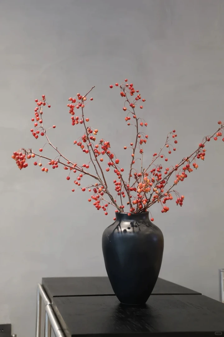 【悠哉生活】海棠果  新年花材 线条型花材 能干花