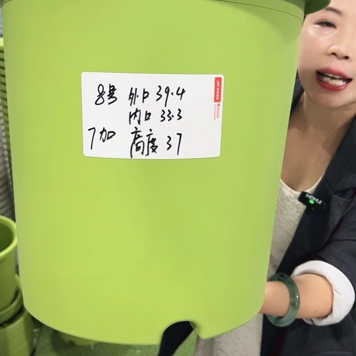 特价8号四季口39高37白色5只无托