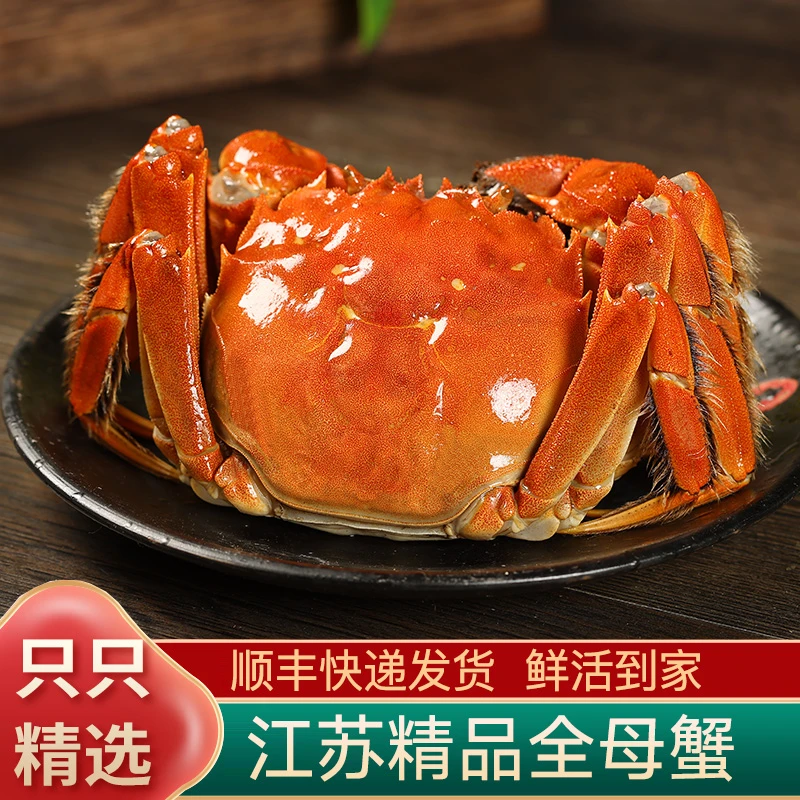 【江苏活蟹】全母大闸蟹 3.1两-2.8两 6只8只10只礼盒装 顺丰包邮