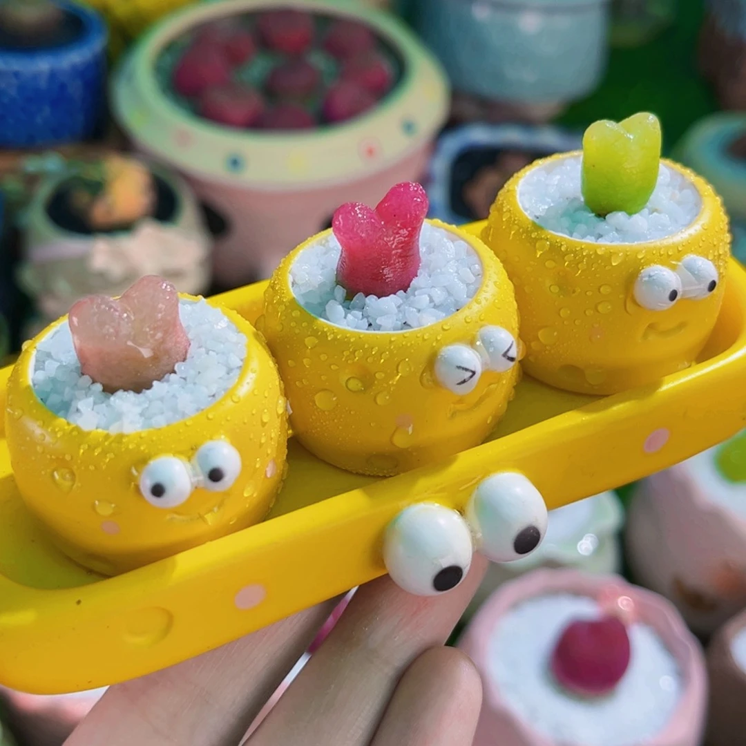 015毛汉尼连盆带土包邮