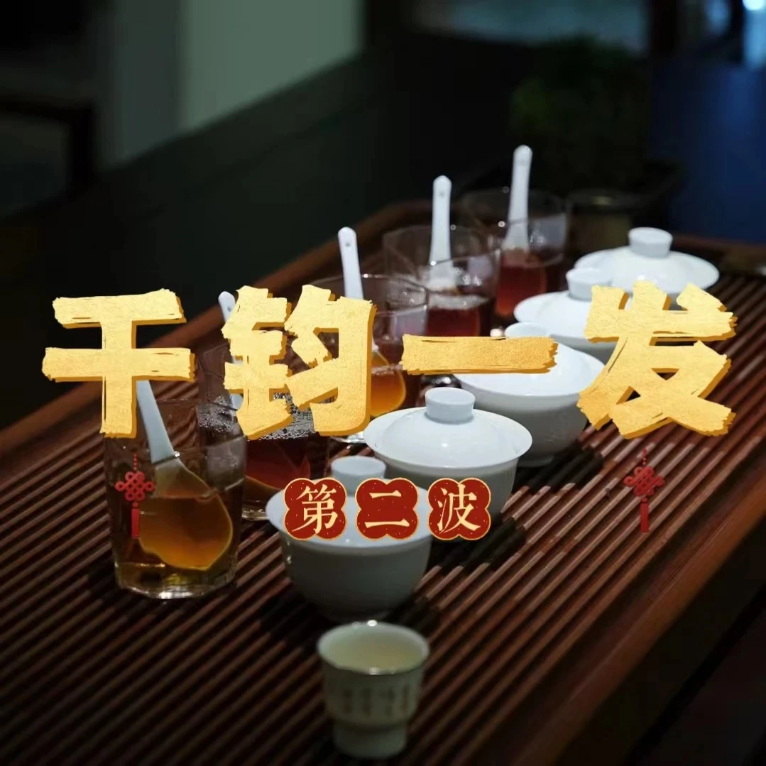 双十一限定第贰波【千钧一发】 武夷岩茶*惊喜组合不支持试喝