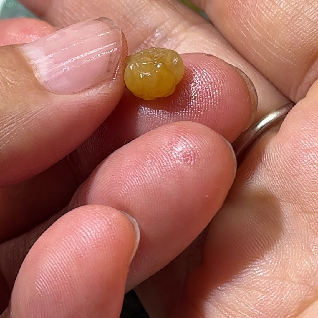 未镶嵌定制翡翠莲花