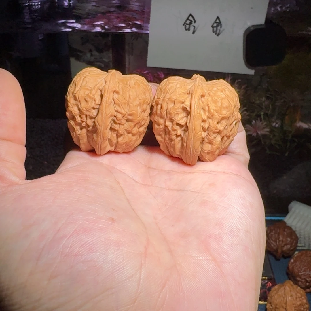 1758甲骨文文玩核桃尺寸37
