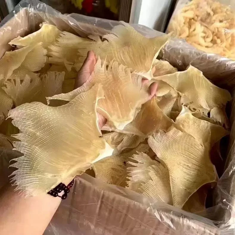 广东粤西阳江深海鱼翅渔翅大号海狗翅纯正干鱼翅鱼翅膀海鲜煲汤