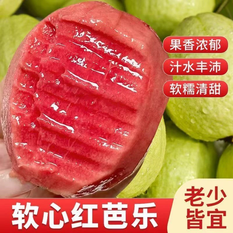 现摘现发新鲜水果芭乐软糯精选芭乐软糯红心大果香软番石榴