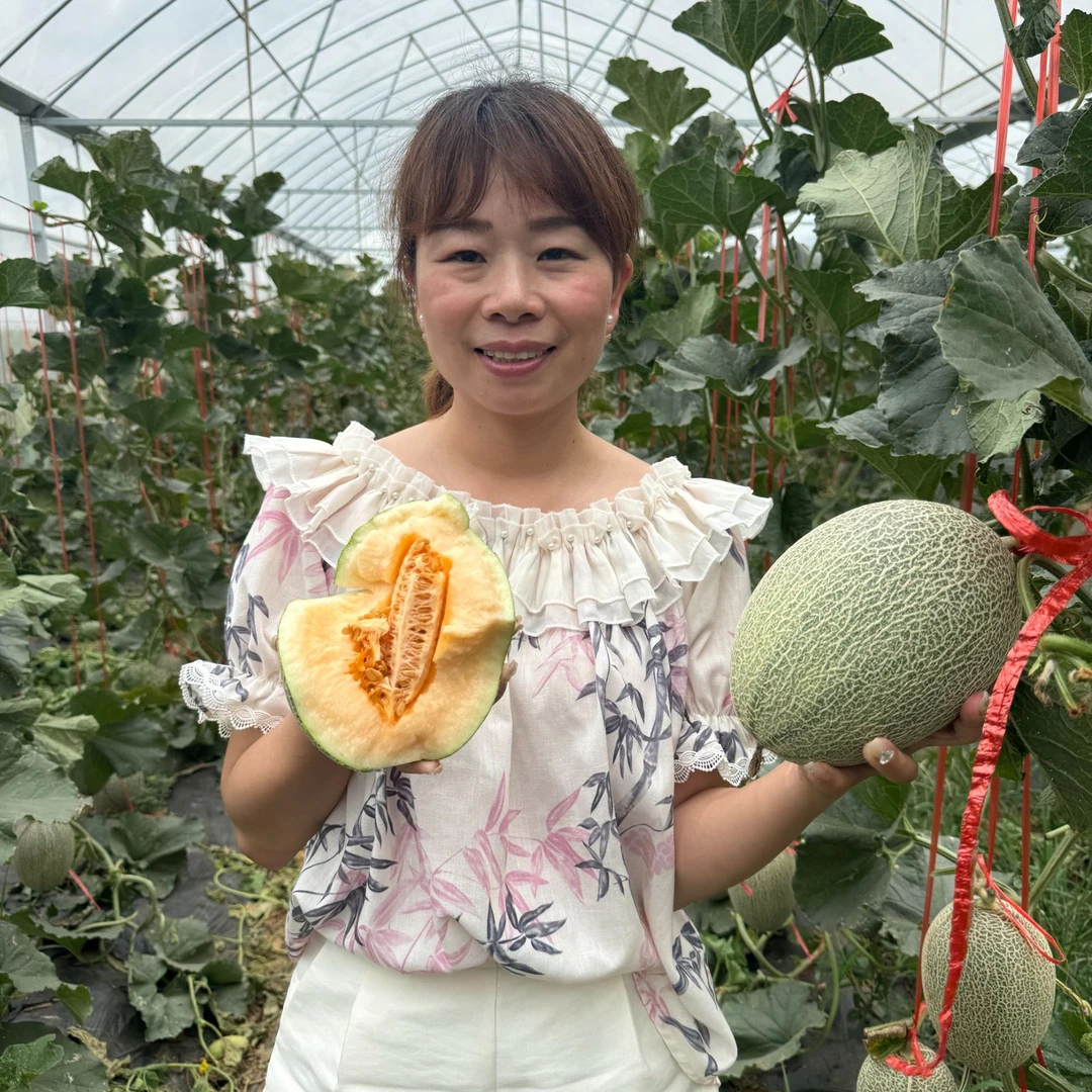 [哈密瓜]网纹甜瓜新鲜采摘现摘现发