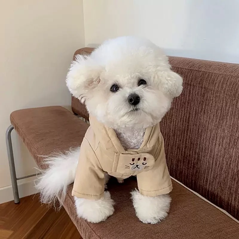 [直播间专属] 宠物服饰 NO退NO换