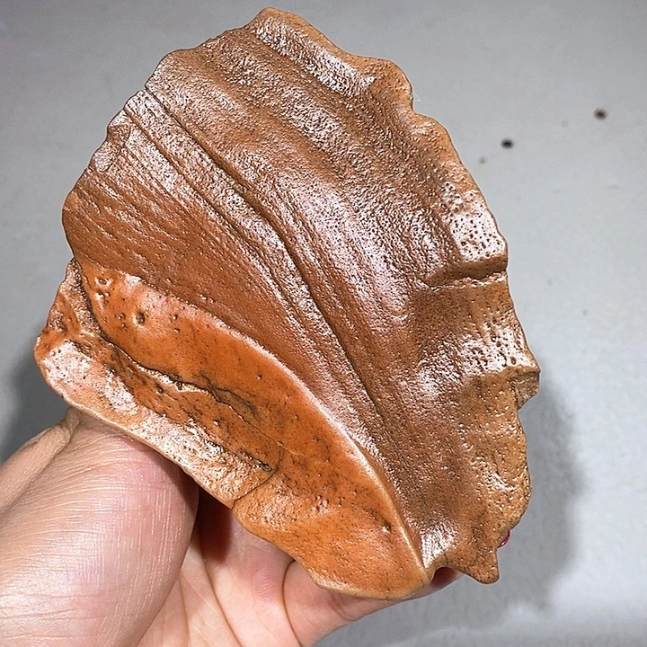 玛瑙/玉髓车挂合金龙*子354