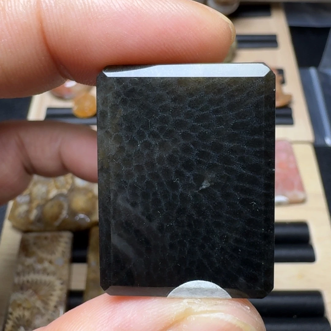 未镶嵌纯天然色有机玉石保真色硅化玉