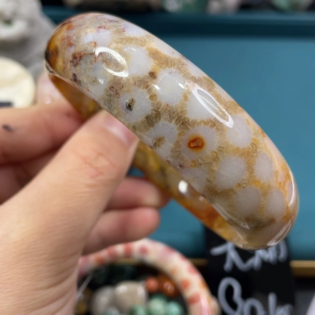 未镶嵌手镯硅化玉