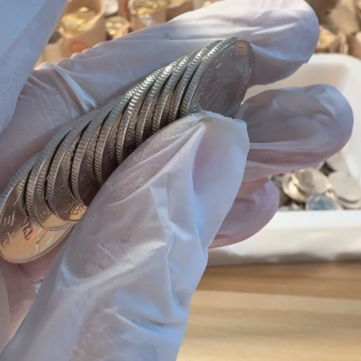 其他普通金属10枚，小5元币