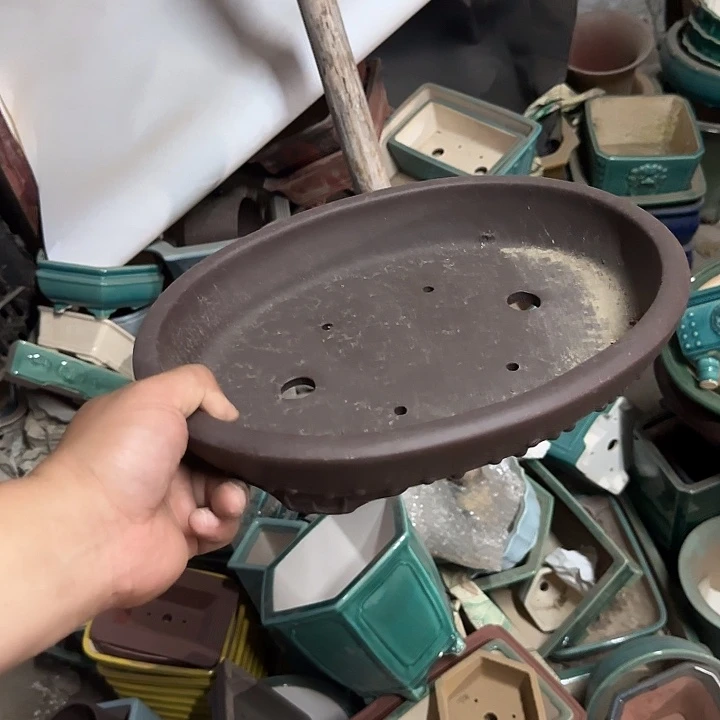 一定有好心情啊好想看一