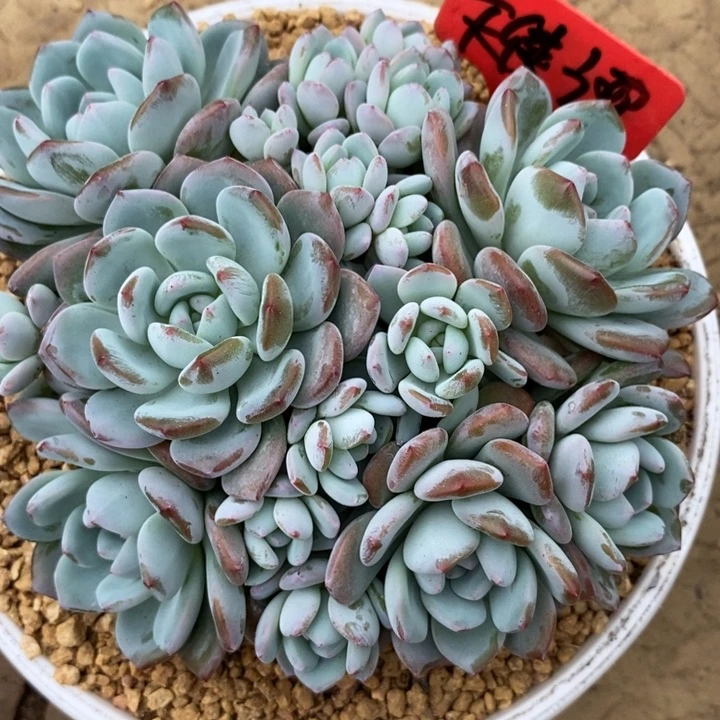 天***翼888888888888888888