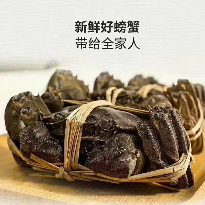 【活蟹】鲜飘云-大闸蟹-母蟹-2.8-3.1两8/10只顺丰京东冷链礼盒包邮