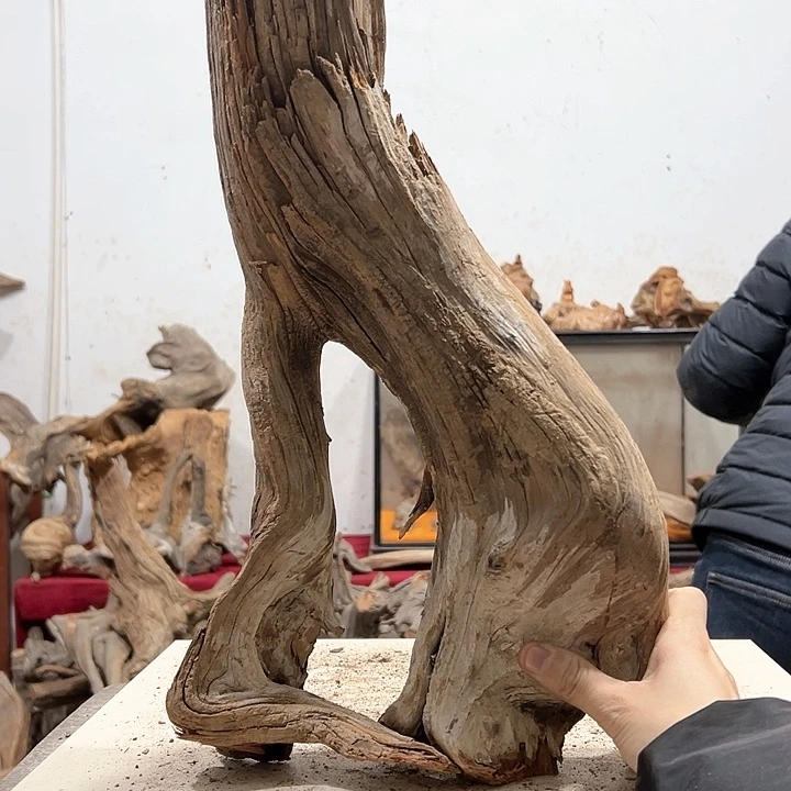 柏木皮*我们的生活也是