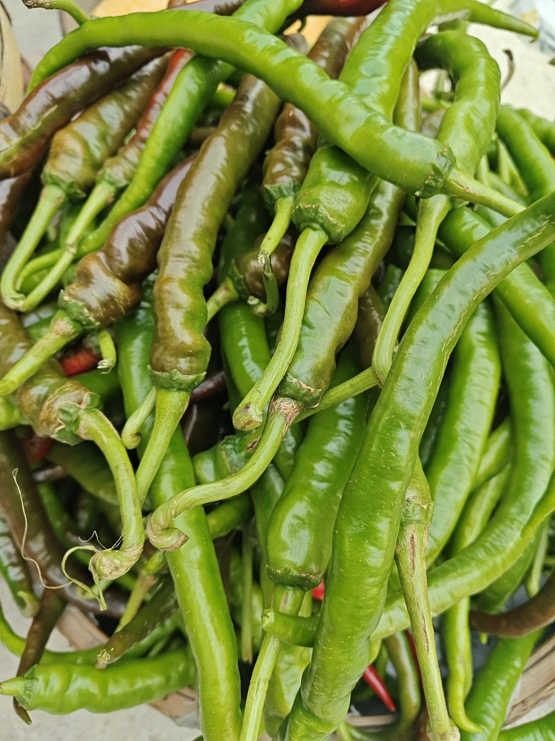 湘西农家新鲜现摘现发辣椒薄皮肉厚