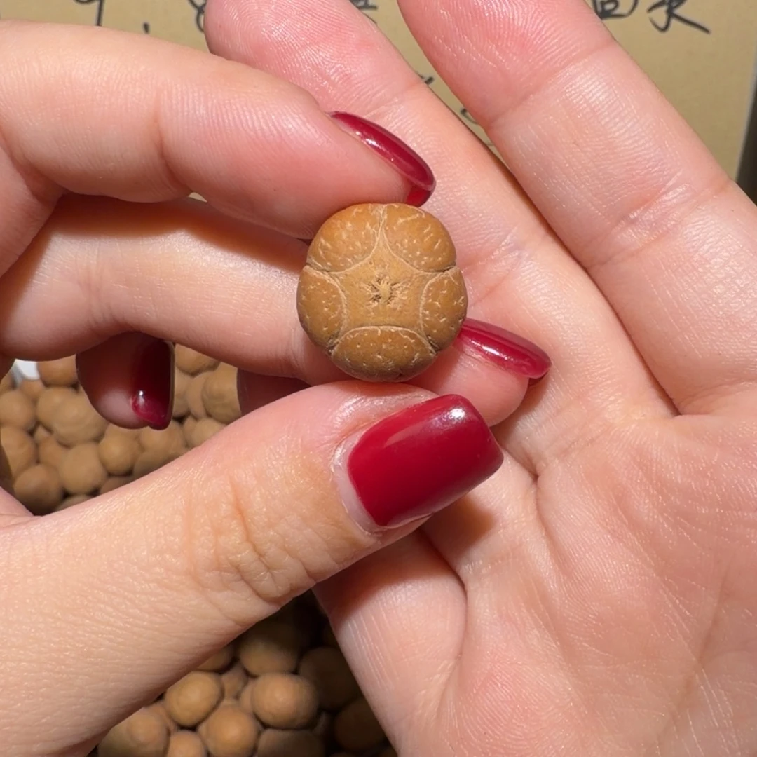 吊坠凤眼菩提已打孔，三通