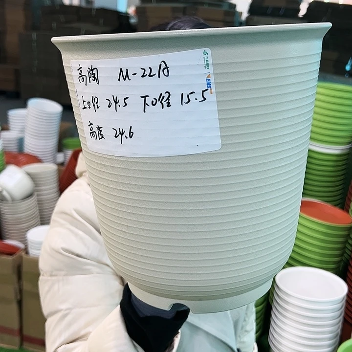 正品高陶口24.5高24.6米色无托5只