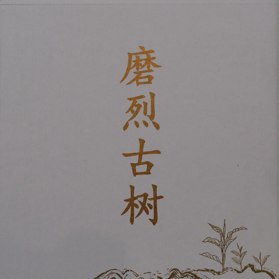 2025【磨烈古树头春生茶】300左右树龄挑采