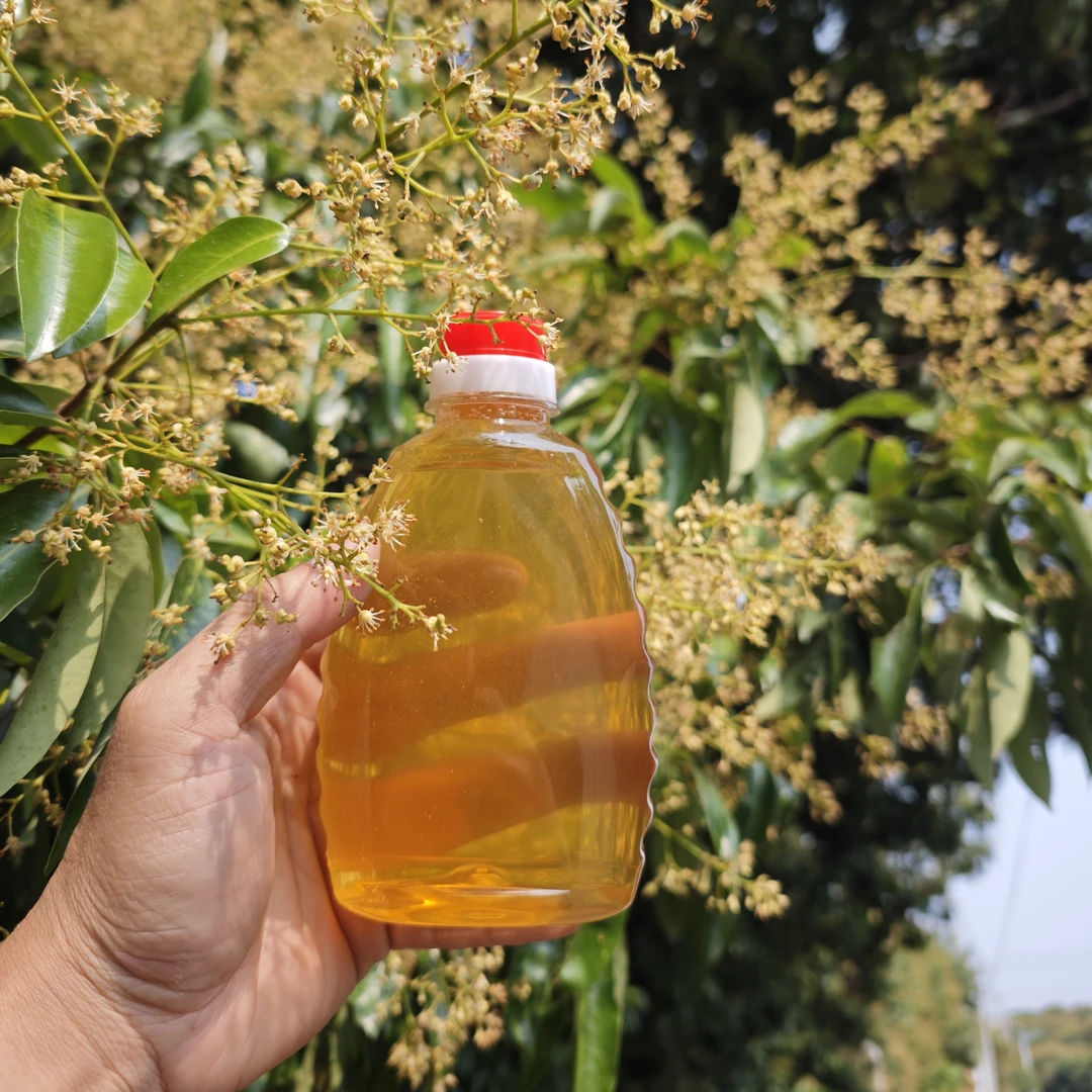 广东高州蜂蜜2025年新蜜荔枝蜜结晶蜜龙眼花蜂场发货