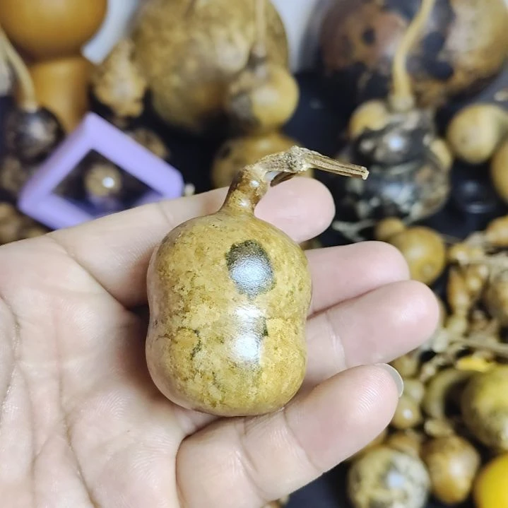 花皮葫芦天然葫芦