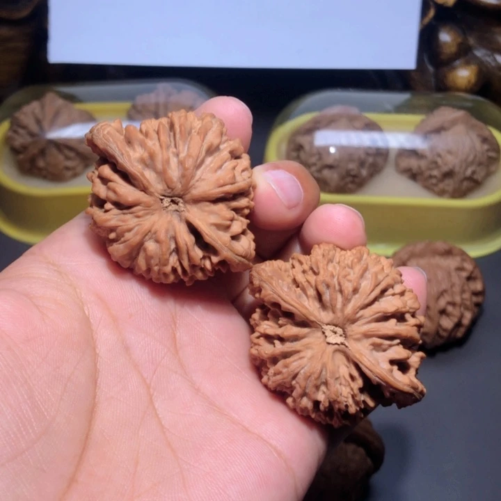 ****义文玩核桃把件45满天星