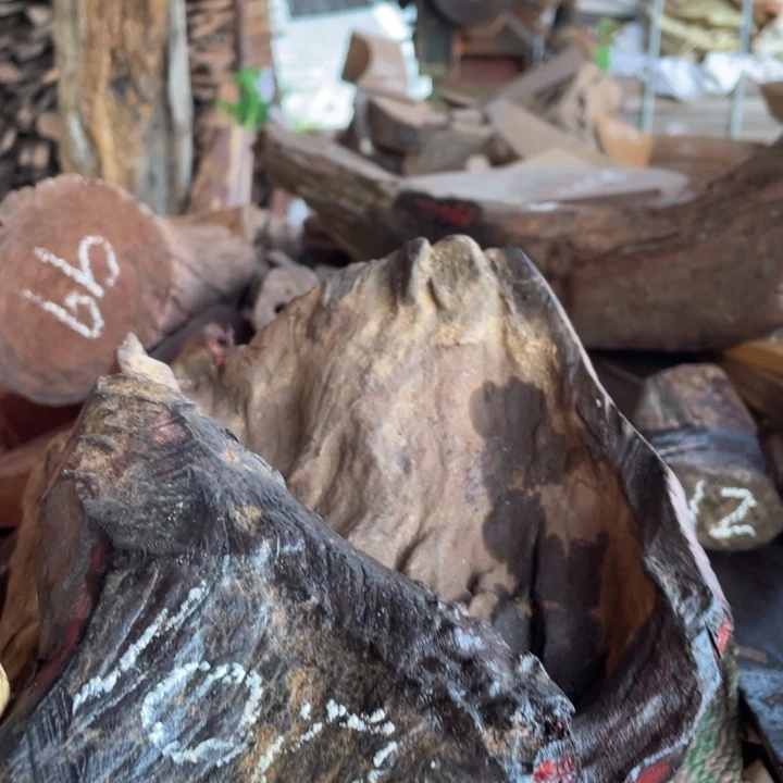 交趾黄檀（大红酸枝）用****生