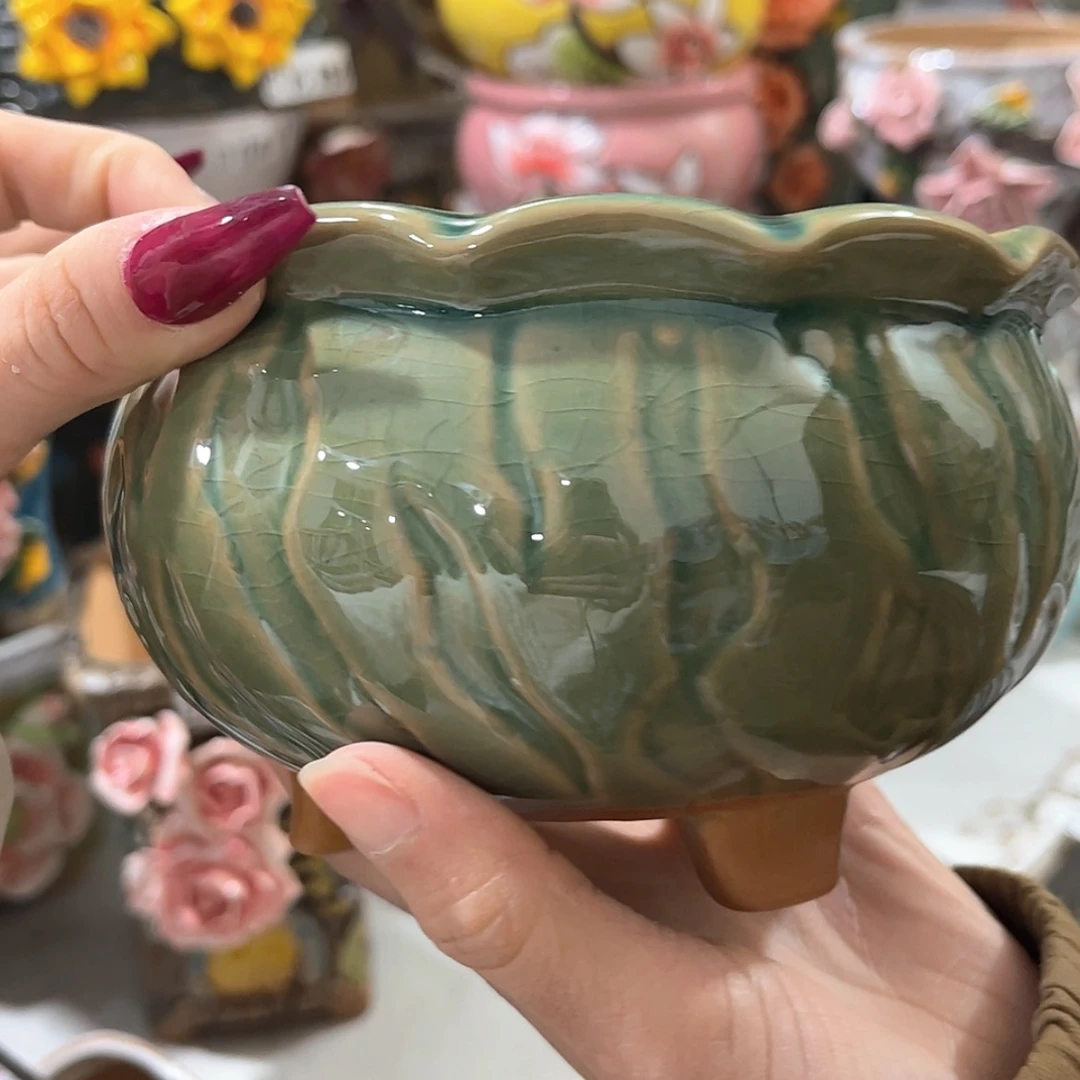 【闪购商品】红陶福利