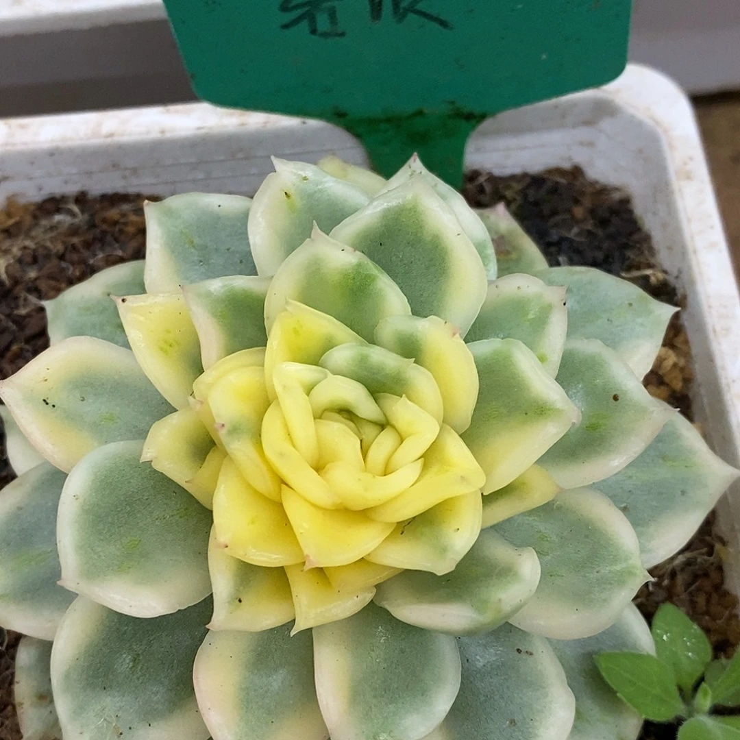 碧浪哈哈哈哈哈哈哈