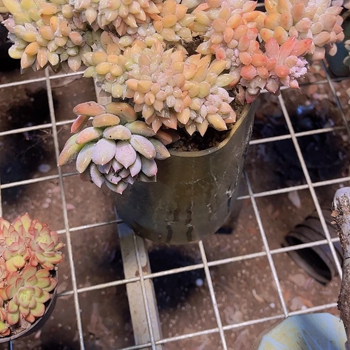 X***️在一段很好相处时间后发现他