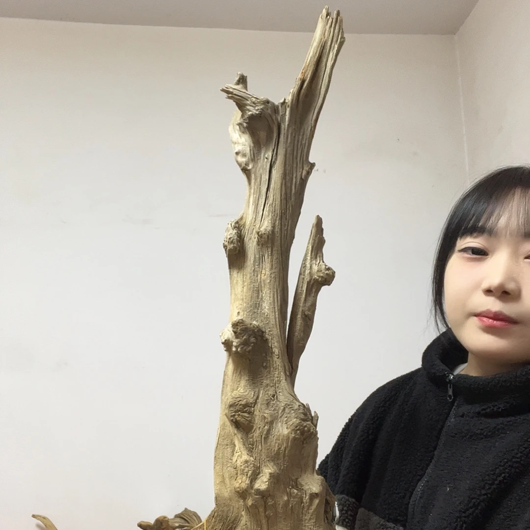 梦***生柏木（崖柏）这个世界上最大限度地减少