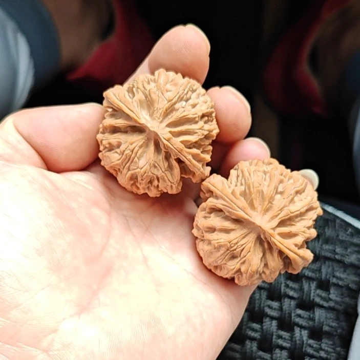 苹果园文玩核桃一物一图