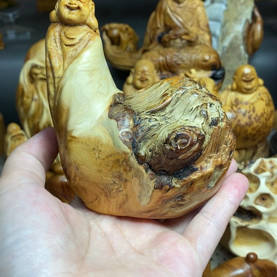 柏木（崖柏）太行山上