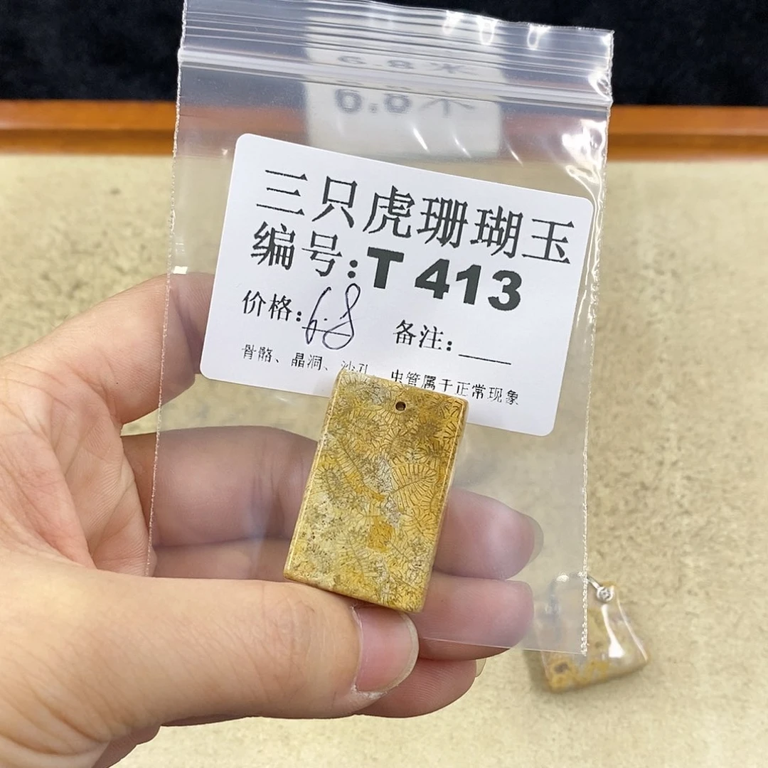 硅化珊瑚（珊瑚玉）1未镶嵌飘