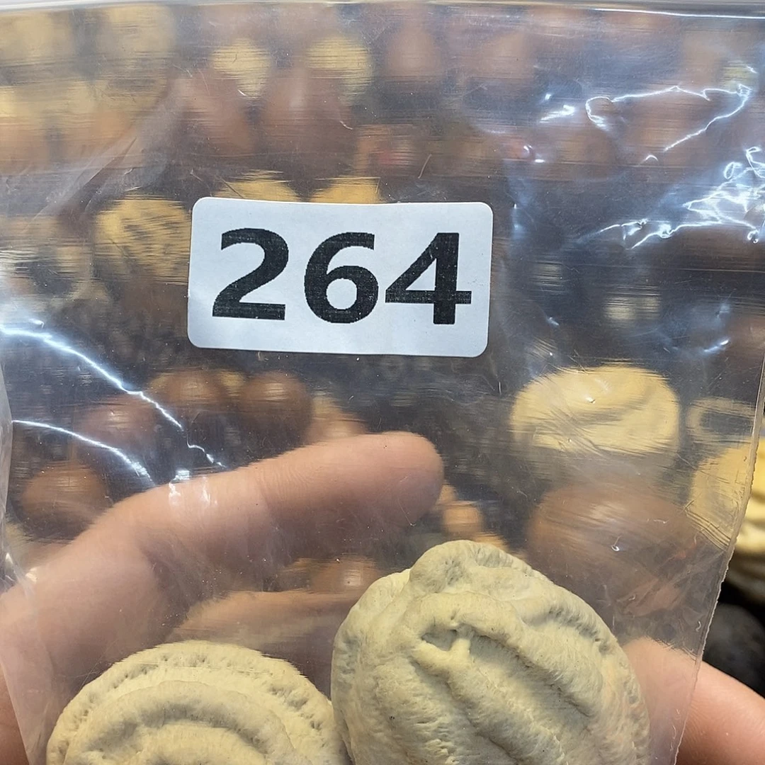 吊坠橄榄核来****马