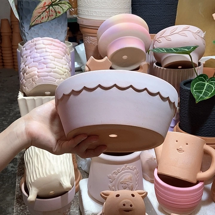 20×7雾化花边盆1个
