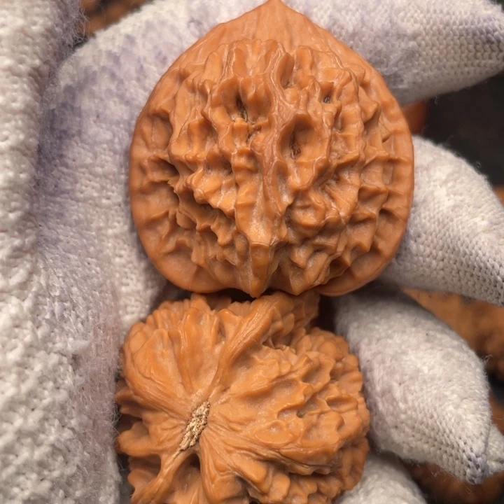 零***%核桃41尺秦岭野生龙纹官帽